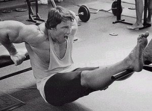 arnold-dips